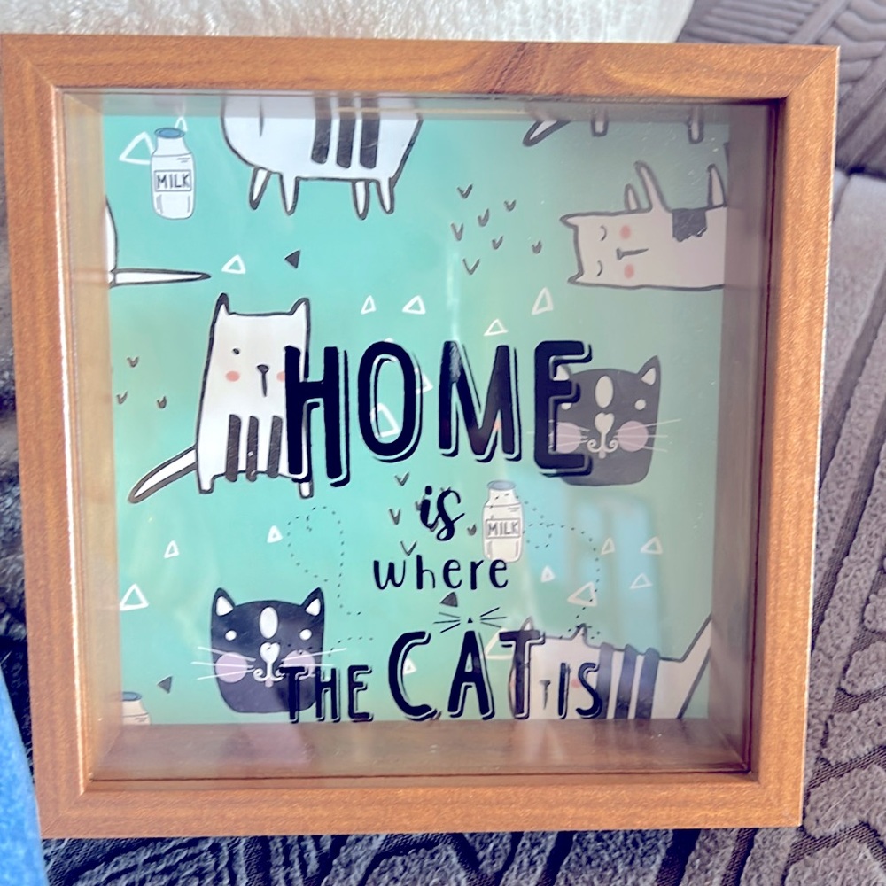 Cat themed shadow box great gift!